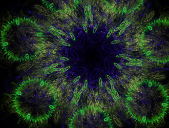 Similar image 21622555