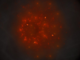 Similar image 21617767