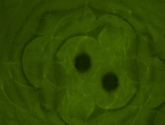 Similar image 21615514