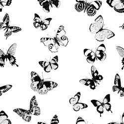 Similar image 21559222