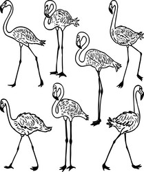 Similar image 21559223