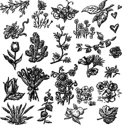 Similar image 21559531