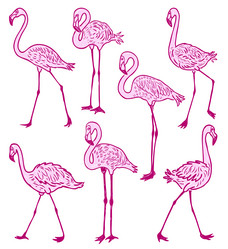 Similar image 21559851