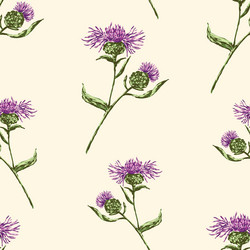 Similar image 21607502