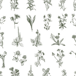 Similar image 21559233