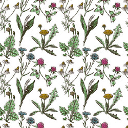 Similar image 21559857