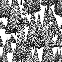 Similar image 21608002