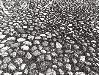 Similar image 21559568