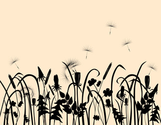 Similar image 21559870