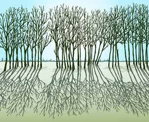 Similar image 21559873