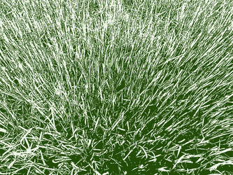 Similar image 21559889