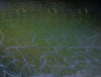 Similar image 21616720