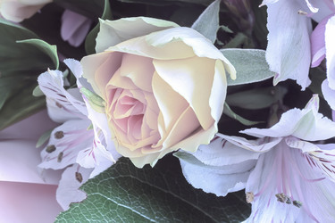 Similar image 21561539