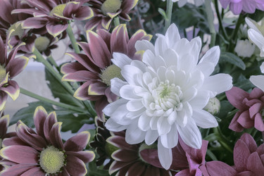 Similar image 21561540