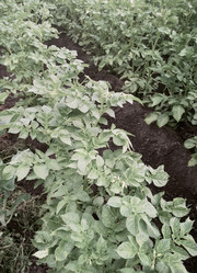 Similar image 21561543