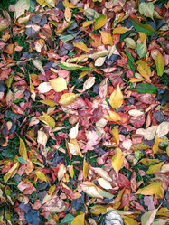 Similar image 21561544