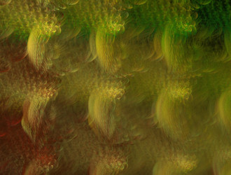 Similar image 21615025