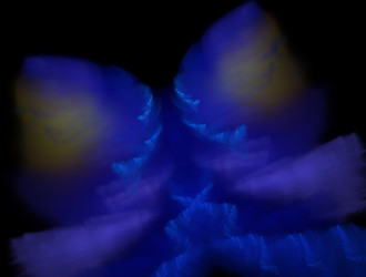 Similar image 21616272