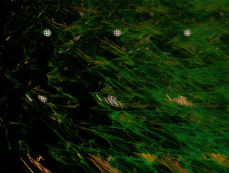 Similar image 21623529