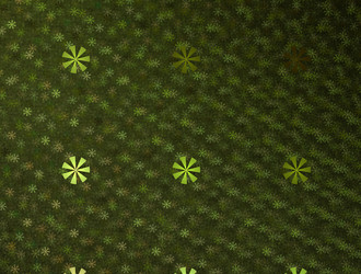 Similar image 21623531