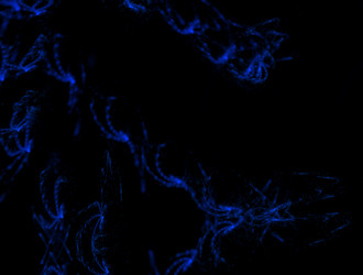 Similar image 21624152