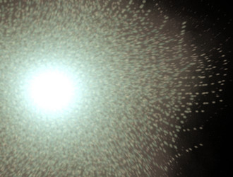 Similar image 21623991