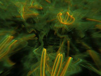 Similar image 21615033