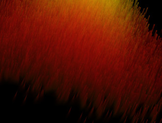 Similar image 21623534