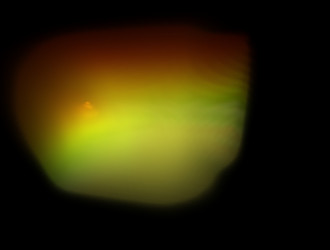 Similar image 21618184