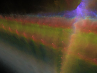 Similar image 21619032