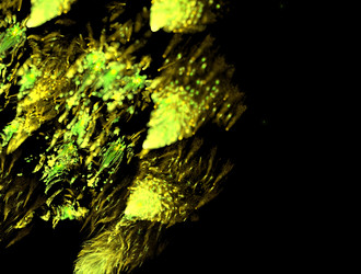 Similar image 21626162