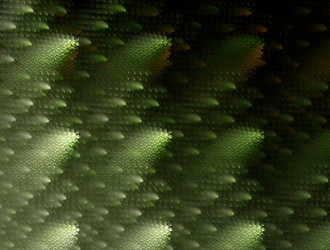 Similar image 21615567