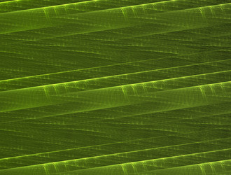 Similar image 21617602