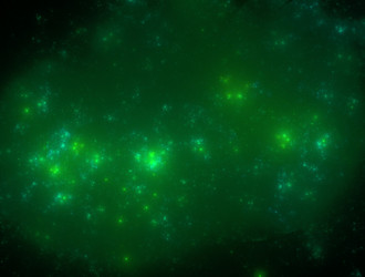 Similar image 21619891