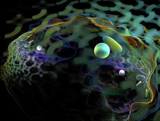 Similar image 21612186