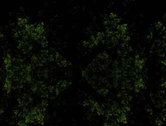 Similar image 21615037