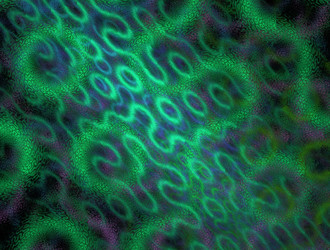 Similar image 21616729