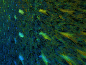 Similar image 21618200