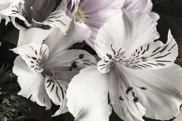 Similar image 21561464