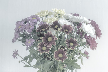 Similar image 21561465