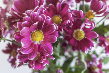 Similar image 21561466