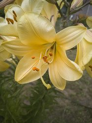 Similar image 21561468