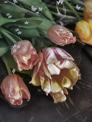 Similar image 21561469