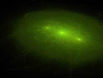 Similar image 21611022