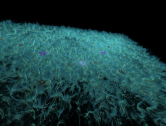 Similar image 21622073