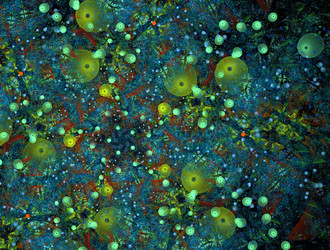 Similar image 21623548