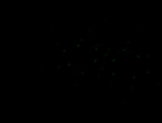 Similar image 21612969