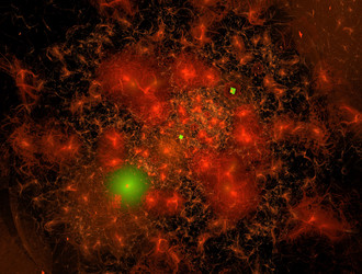 Similar image 21613321