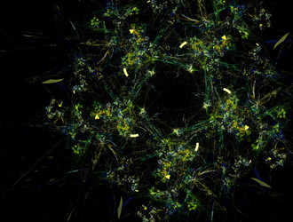 Similar image 21612206