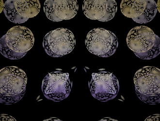 Similar image 21623855